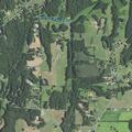 Car hits deer on Triplet Road, vehicle disabled