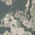 Person reported sick near Buckhorn Way, Kenly