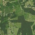 Possible fall reported near Beaver Road