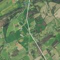 Loose cow reported on roadside at Chief Hollow Road