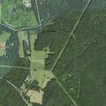 Man having seizure in wooded area near Mount Zion Rd
