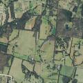 Illegal burning reported on Greenwood Road