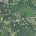 Report of Social Security fraud for landscaping firm