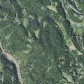 Person reported with back pain at Dalmatian Trail
