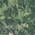 Person needing assistance near Penny Lane in Weaverville