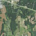 Welfare check near Bear Poplar Road in Cleveland