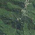 Sick person reported near Paint Fork Road in Barnardsville