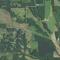 Person fainting near Pine Tree Road