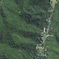 Person fell near Paint Fork Road close to Secret Cove