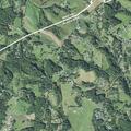 Person reported sick near Damascus Road in Alexander, NC