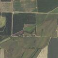 Grass and tree fire near County Road 270 address