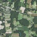 Teen reports juvenile ran away from Sims home