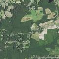 Person choking at home in Wendell, NC