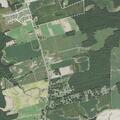 Person with psychiatric emergency near Elm City