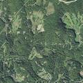Person having allergic reaction near John King Road, Weaverville