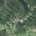 Person likely deceased after cardiac arrest call near Poverty Branch Rd in Barnardsville