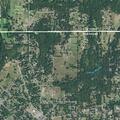 Teen reported missing after entering nearby woods
