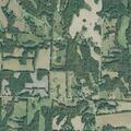 Man reports altercation near cemetery in Medina