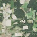 Woman showing stroke symptoms near Needham Road, Bailey