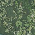 Person sick near Half Moon Lane in Lenoir
