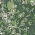 Person feels dizzy at Sawmills Town Hall in Granite Falls