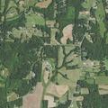 Person unconscious from fainting at Farlow Pines Drive
