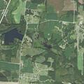 Officers search for loose dog near cornfield