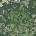 87-year-old male falls near Kennedy Road in Brampton