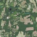 Brush fire reported on Freeman Drive in Wendell