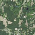 Psychiatric emergency near Perry Branch Road in Wendell