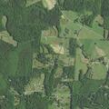 Person injured in fall near Shelton Country Road