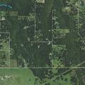 Juvenile reports brother hit her at Deerwood Road home