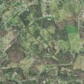 Elderly woman with mental status change and falls in Rockwood