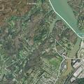 Man has severe allergic reaction to ants in Tennessee