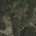 Multiple campfires reported near Forest Road