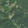 Person fell near Celia Creek Road in Lenoir