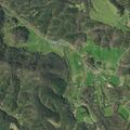 Trees on power lines causing hazard on Stokely Loop