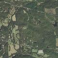 Report of outdoor burning on Antioch Road