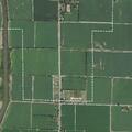Allergic reaction reported near Highway 139