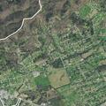 Teen male loses consciousness near Chapman Highway