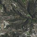 Bear reported near canyon by Canyon View home