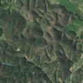 81-year-old man injured in fall with facial wounds