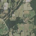 Stray dog reported near Salem Springs
