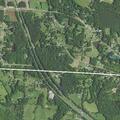Tree in power lines causes electrical hazard