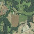 Dog bite assault with gun involved on County Line Road