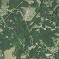 Person reported sick near Bob White Lane in Thomasville