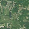 Child has allergic reaction near Burton Road and Cross Creek Woods Lane