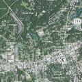 Search for missing 72-year-old woman at Cotton Street