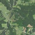 Brush fire complaint at Black Walnut Court