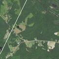 Person with back pain near NC 98 in Spring Hope